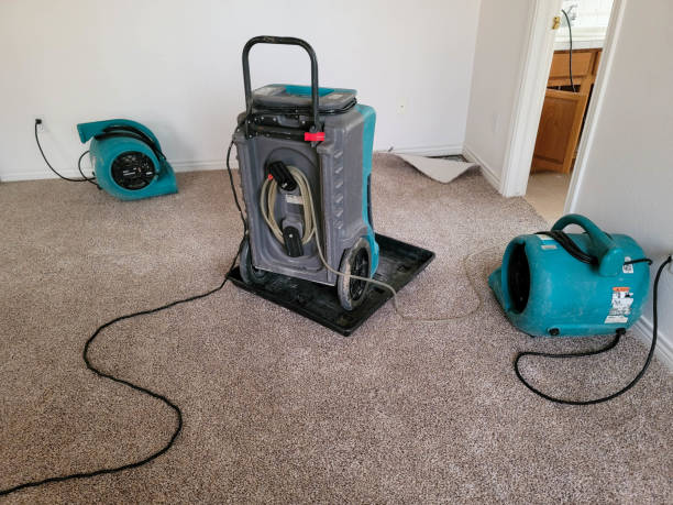 Best Flood restoration services  in Buffalo, MN
