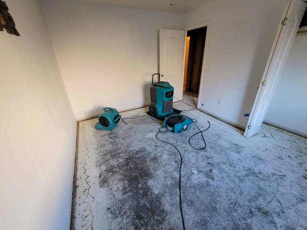 Best Water damage cleanup near me  in Buffalo, MN