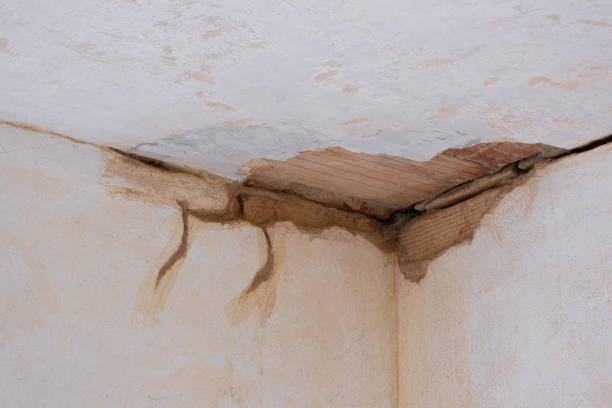 Best Water damage restoration specialists  in Buffalo, MN