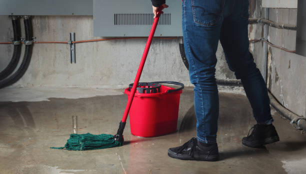Best Emergency water extraction  in Buffalo, MN