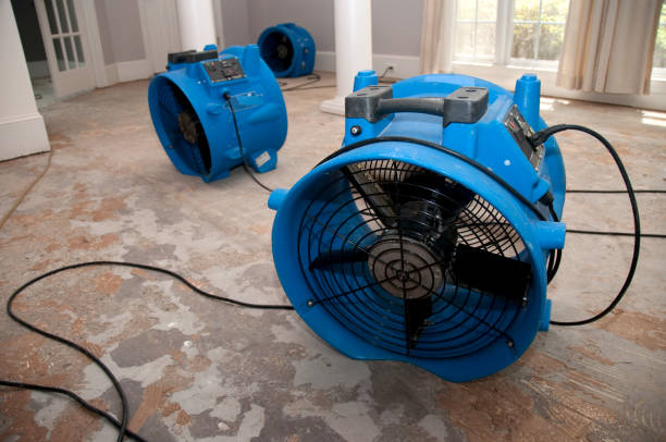 Best 24/7 water damage repair  in Buffalo, MN