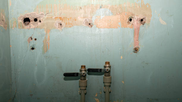 Best Local water damage restoration  in Buffalo, MN