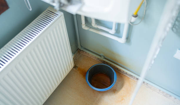 Best Water damage restoration mold remediation  in Buffalo, MN