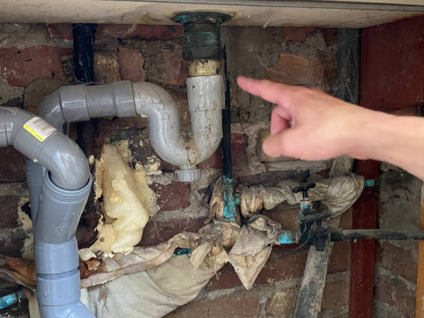 Best Ceiling water damage repair  in Buffalo, MN