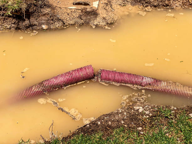 Carpet water damage restoration in Buffalo, MN