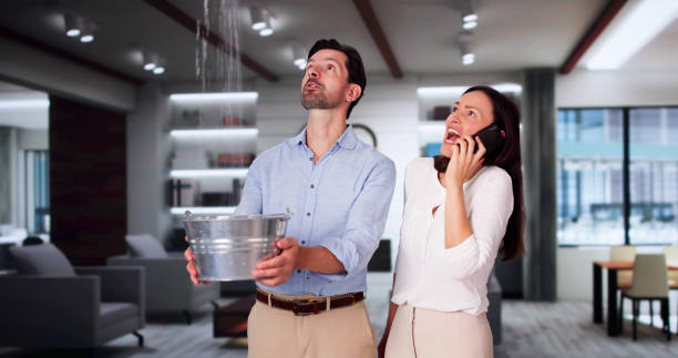 Best Flood damage cleanup  in Buffalo, MN
