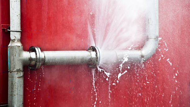 Best Water damage restoration near me  in Buffalo, MN