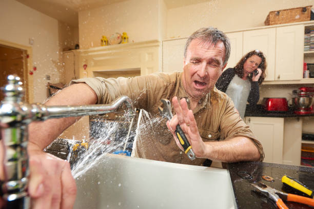 Best Water damage restoration near me  in Buffalo, MN